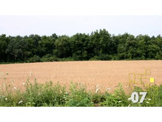 Property photo 27 - Land Auction - 3,379 Acres in 48 Tracts, 2,900 Acres Tillable, Large Contiguous Tracts - Investment Potential